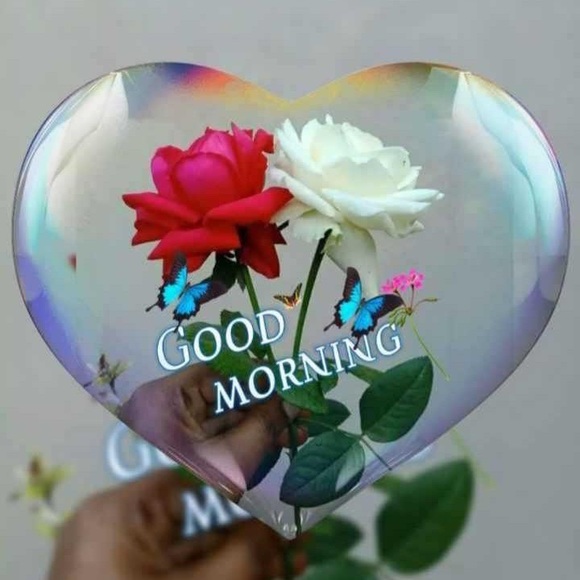 Meet the Posher - Picture 1 of 1